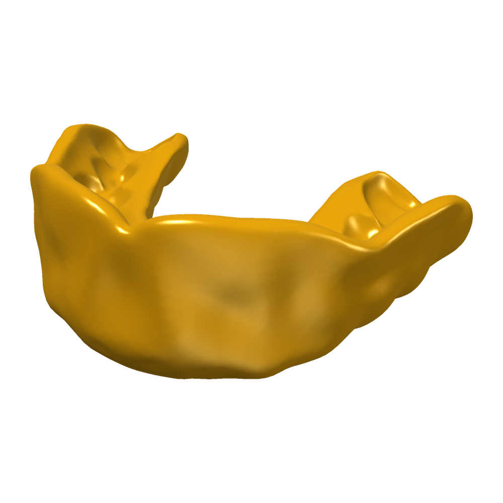 Mouthguard Pro