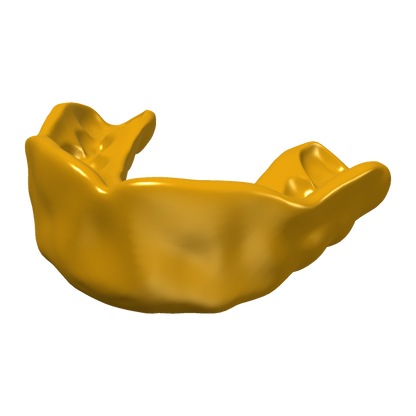 Mouthguard Pro