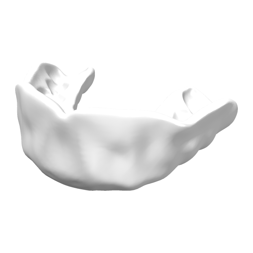 Mouthguard Pro